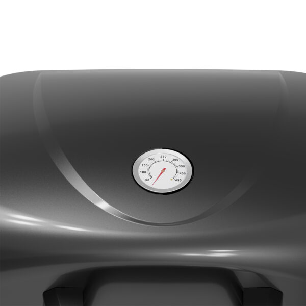 BBQ ΥΓΡΑΕΡΙΟΥ GS GRILL 2 + PLANCHA